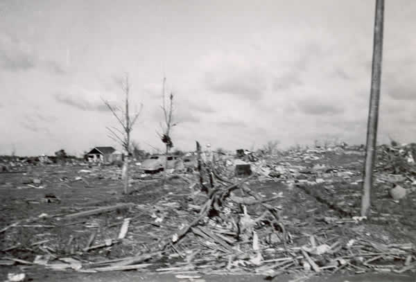 Lamp post, destroyed care, and broken trees in field of debris. 