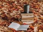 A pile of books in a pile of leaves 