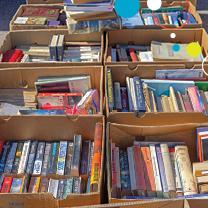 Friends of the Flint Public Library